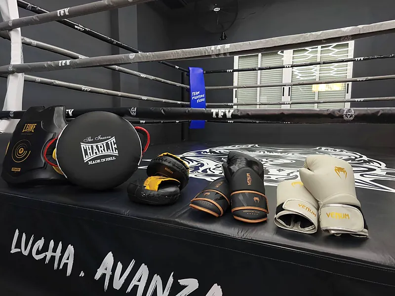 Guantes Venum, manoplas, escudo Charlie y peto Leone sobre el ring